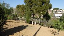 Garden of Residential for sale in Sant Esteve Sesrovires