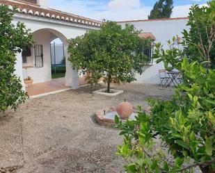 Garden of Country house for sale in Antequera