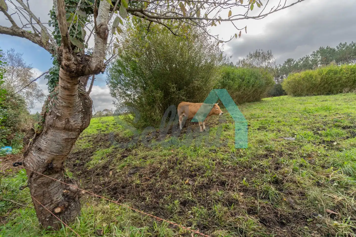Casa o xalet en venda en Cudillero amb Jardí privat i Traster