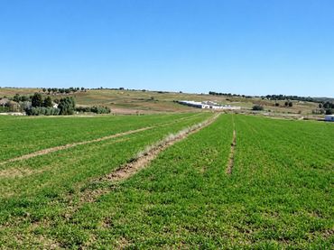 Lands and plots for sale in sendero del cojo