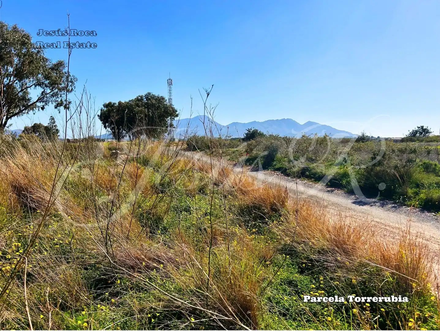 Terreno rustico in vendita a Pedanías Oeste, imagen 5