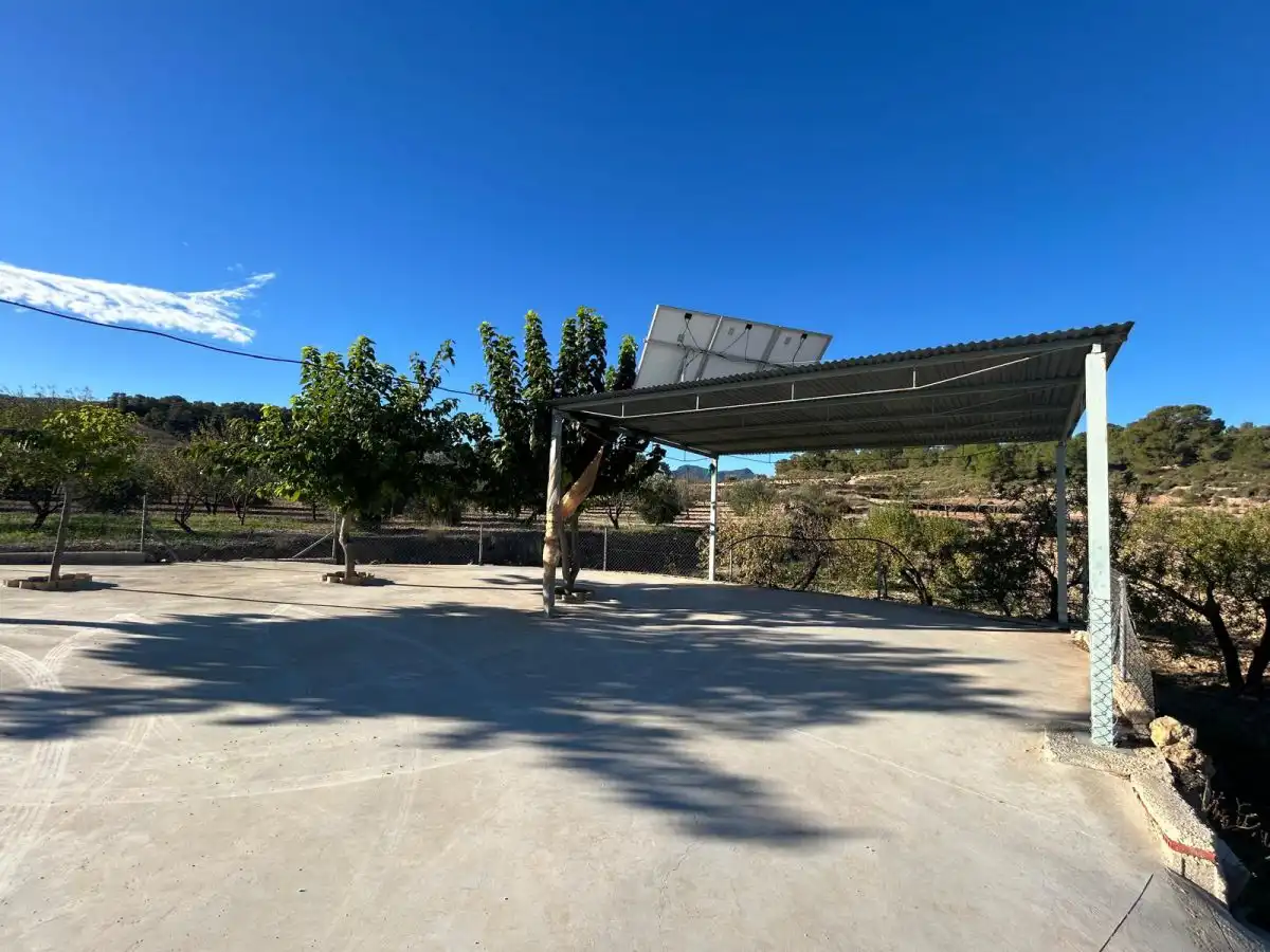 Vista exterior de Finca rústica en venda en Jumilla
