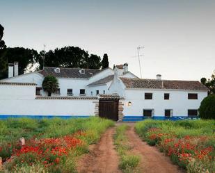 Jardí de Finca rústica en venda en Alhambra amb Terrassa