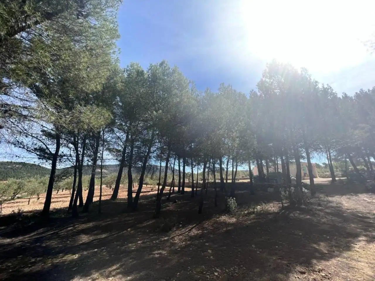 Chalet con jardín en venta en Calle Poligono, imagen 114