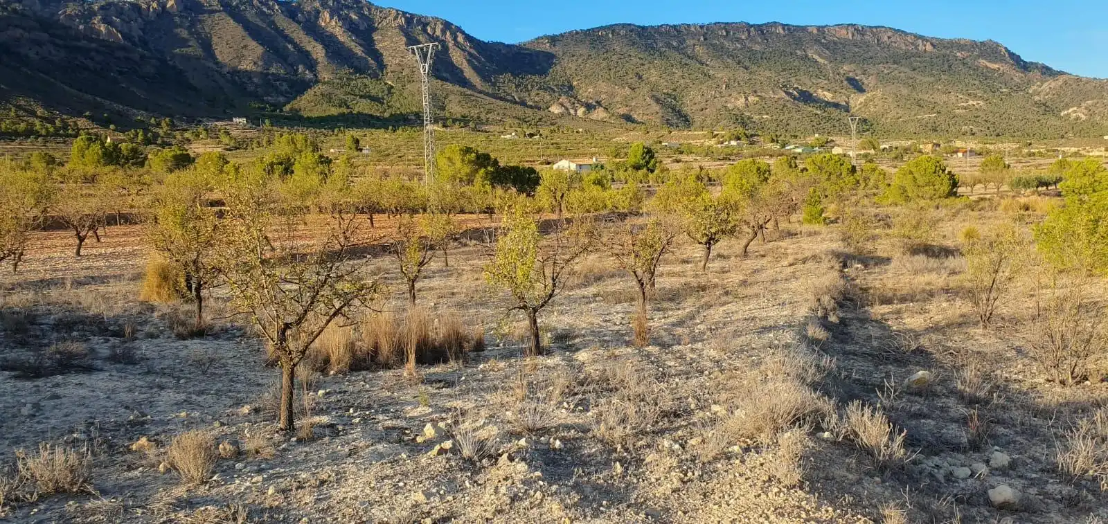 Grundstücke und Bauplätze zum Verkauf in Ricote, imagen 3