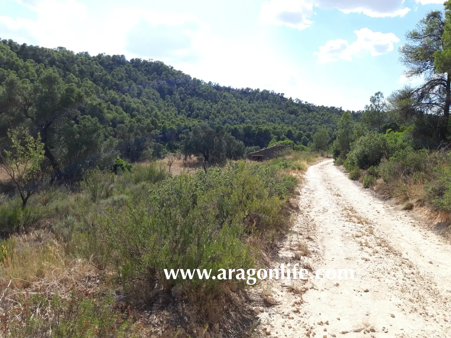Finca rústica en venta en Fabara