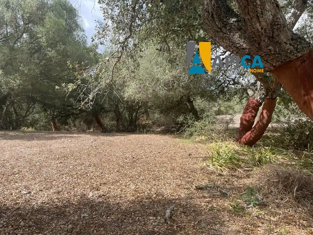 Terreni e lotti in vendita a Vejer, imagen 8