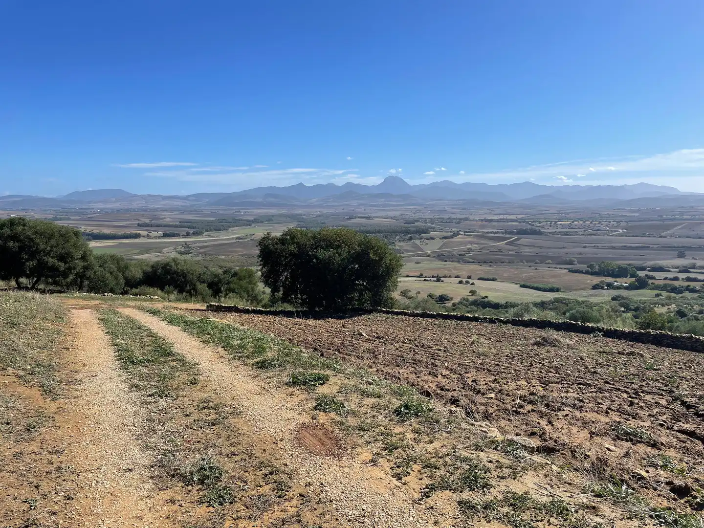 Terreno rustico in vendita a Arcos de la Frontera, imagen 11