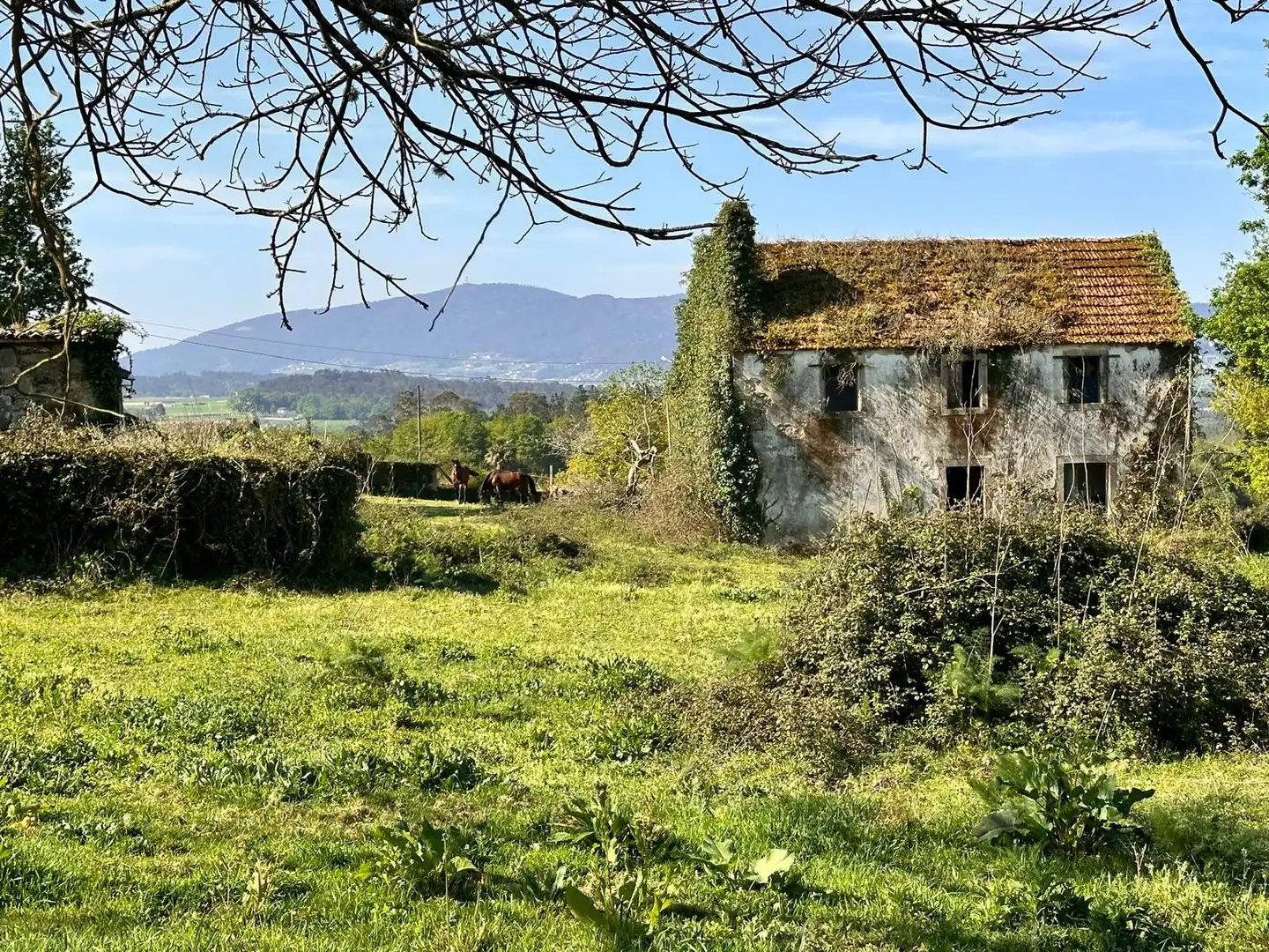 Casa o xalet en venda a Rúa Argimiro González Neira, 7, Vedra