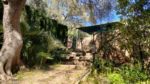 Foto 4 von Haus oder Chalet zum Verkauf in Binissalem, Illes Balears