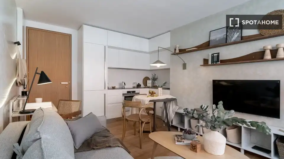 Sala d'estar de Apartament per a compartir en Madrid amb Aire condicionat, Terrassa i Moblat