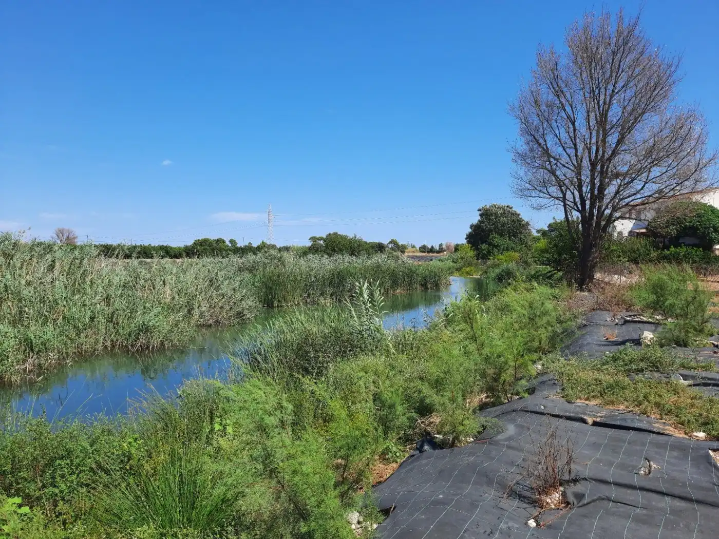 Vista exterior de Finca rústica en venta en Ondara con Aire acondicionado, Calefacción y Jardín privado
