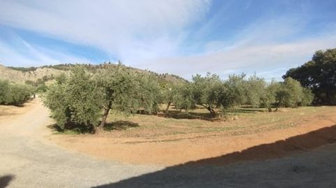 FINCA RÚSTICA EN ALBOLOTE