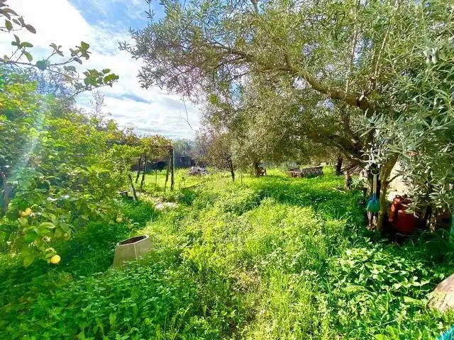 Casa en venta en Periurbano Este - Campiña, imagen 3