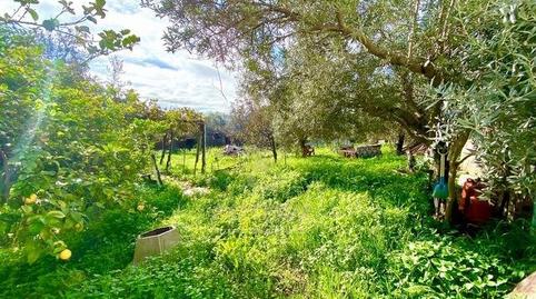 Photo 3 of House or chalet for sale in Alcolea,  Córdoba Capital