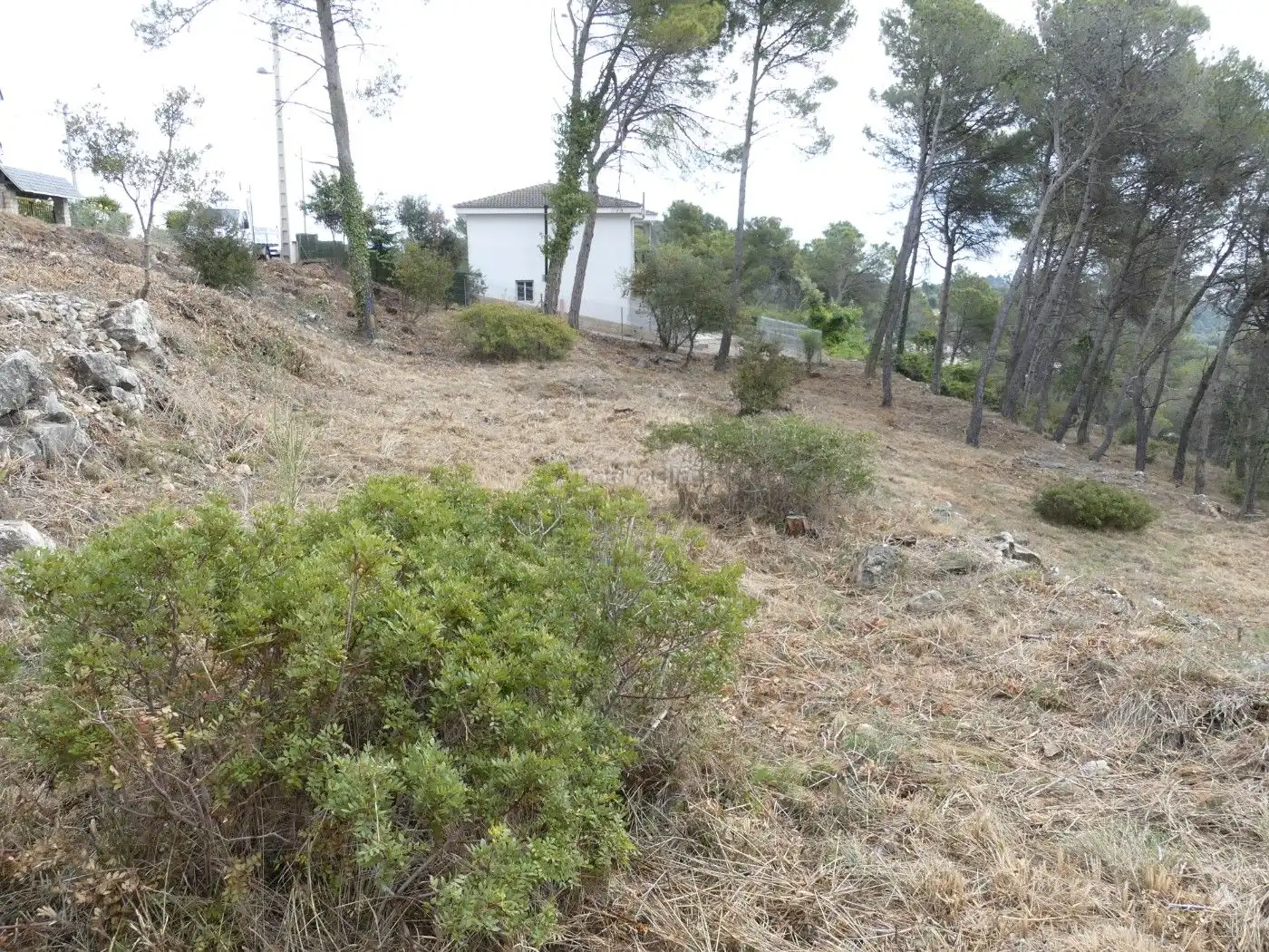 Terreny residencial en venda a Calle Dalt 384, imagen 6