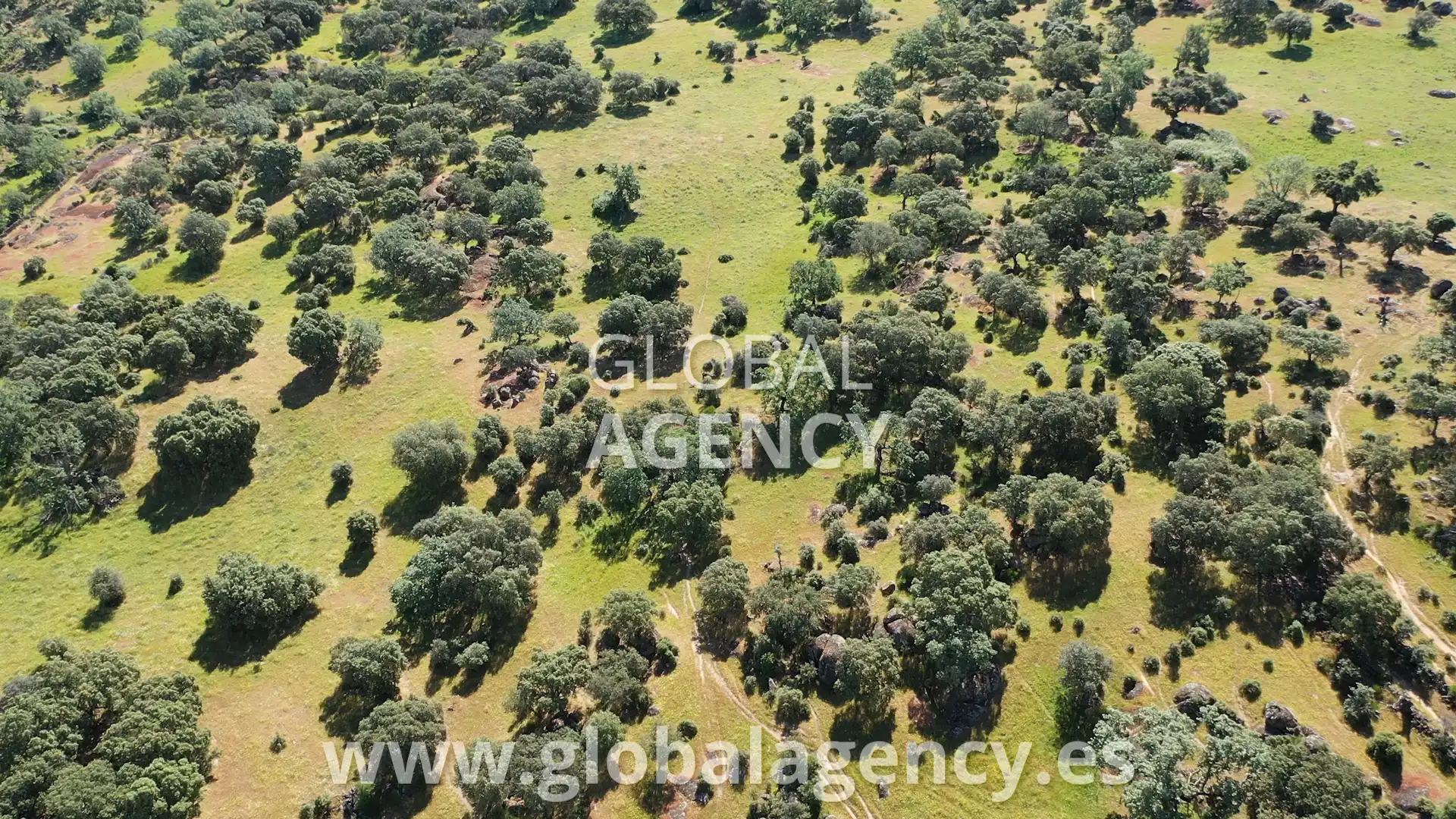 Terreni e lotti in vendita a Pasarón de la Vera, imagen 15