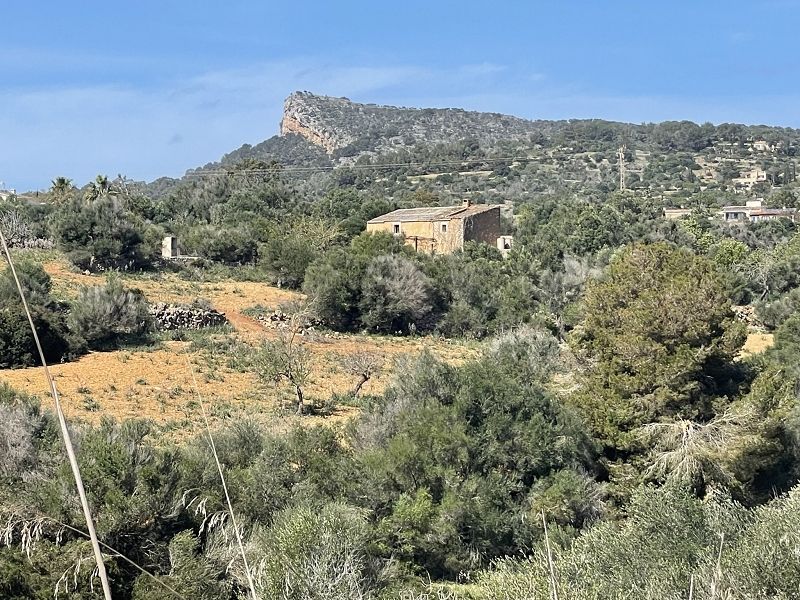 Finca rústica en venda en Manacor amb Traster