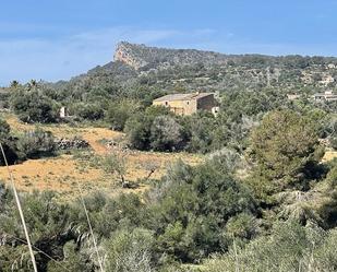 Finca rústica en venda en Manacor