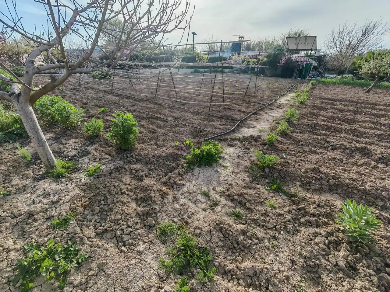 Terreni e lotti in vendita a Huétor Tájar, imagen 20