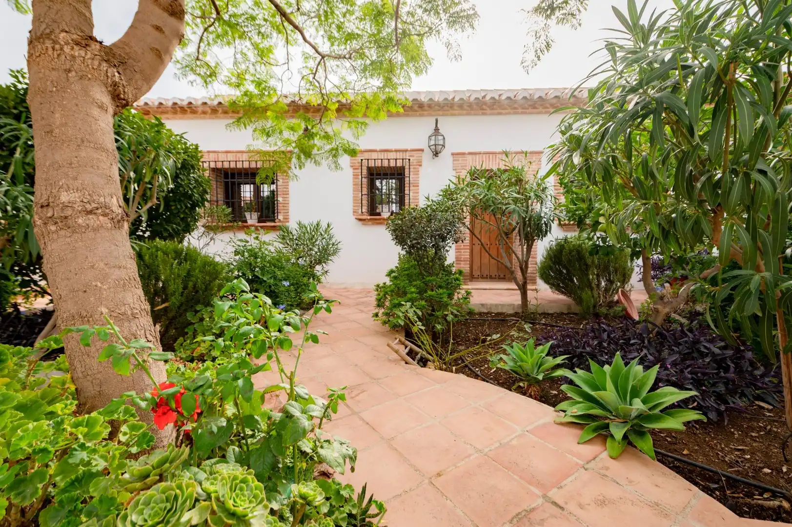 Maison à vendre à Villanueva de la Concepción, imagen 3