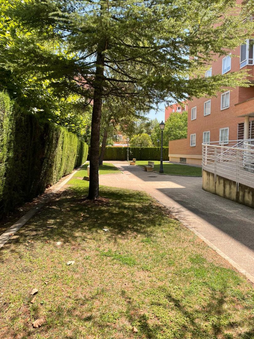 Garden of Flat to rent in  Albacete Capital  with Heating, Furnished and Oven