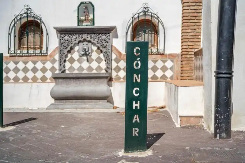 Terreny rústic en venda a Calle Baja, imagen 4