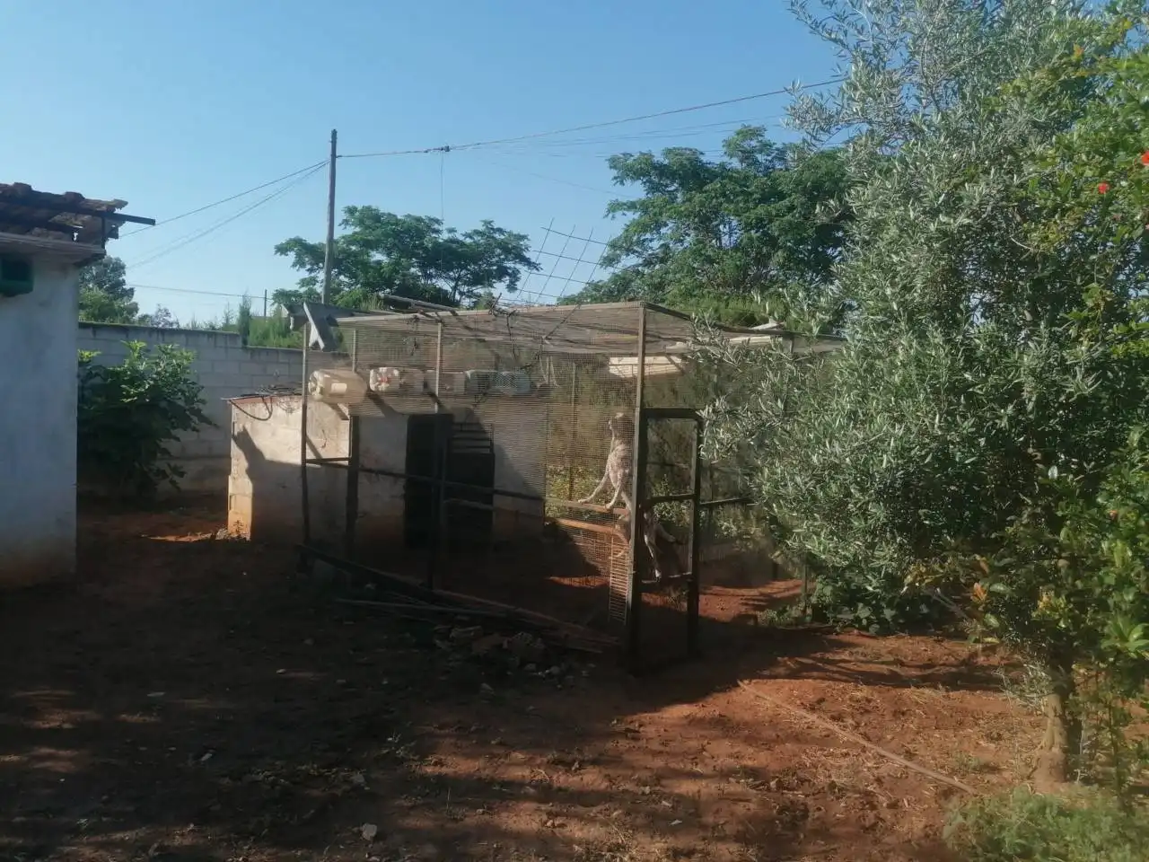 Casa o chalet en venta en Carmona con Aire acondicionado, Jardín privado y Terraza