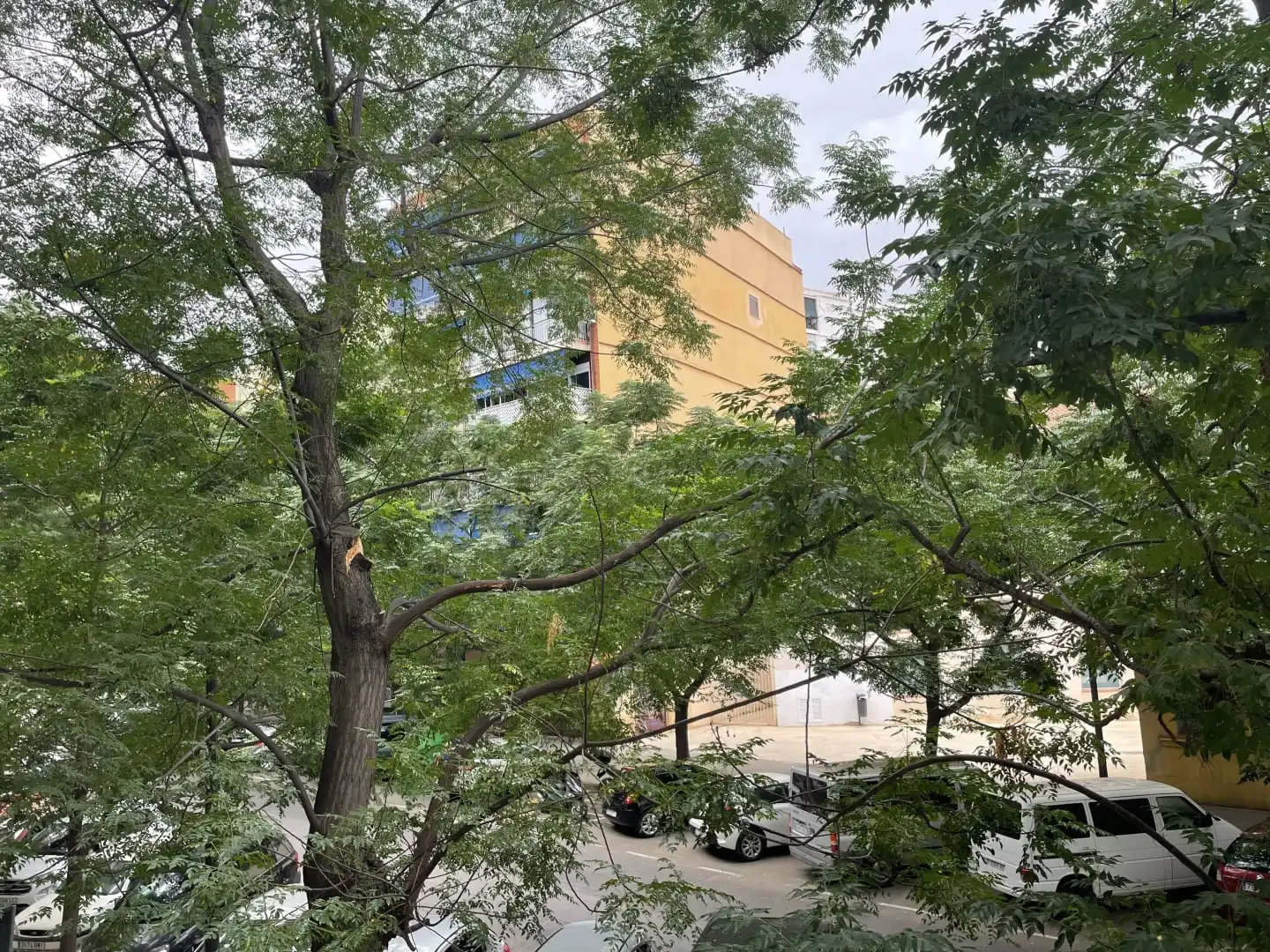 Vista exterior de Piso en venta en Valencia