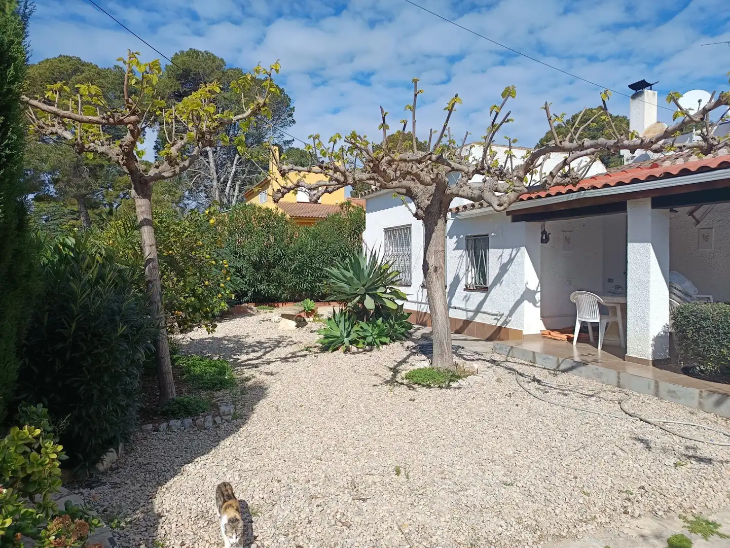Jardí de Casa o xalet en venda en L'Ametlla de Mar  amb Aire condicionat, Calefacció i Jardí privat