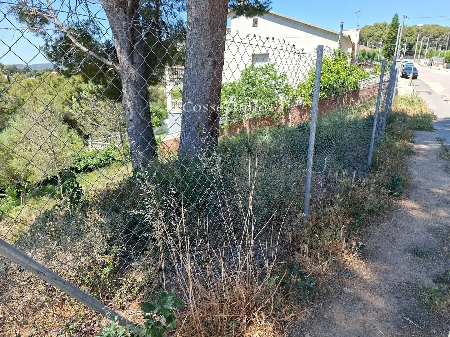 Terreno rustico in vendita a Llorens, imagen 4