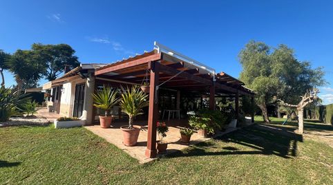 Foto 3 de Finca rústica en venta en N/a, -1, Dolores, Alicante