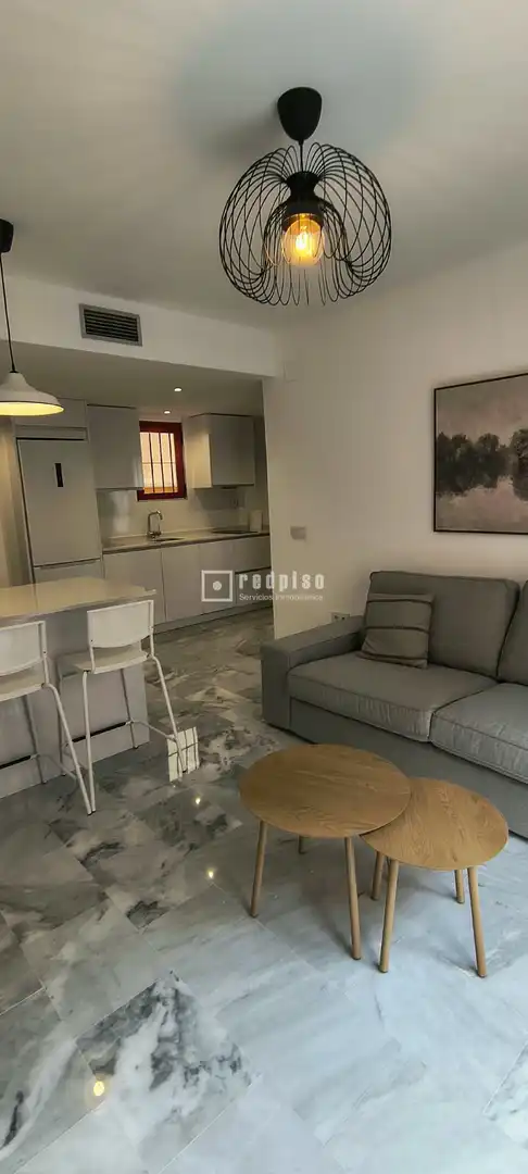 Sala d'estar de Pis de lloguer en Centro