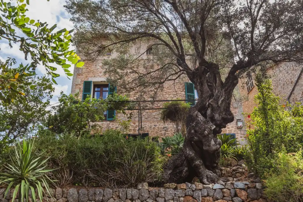 Casa amb jardí en venda a Deià, imagen 2
