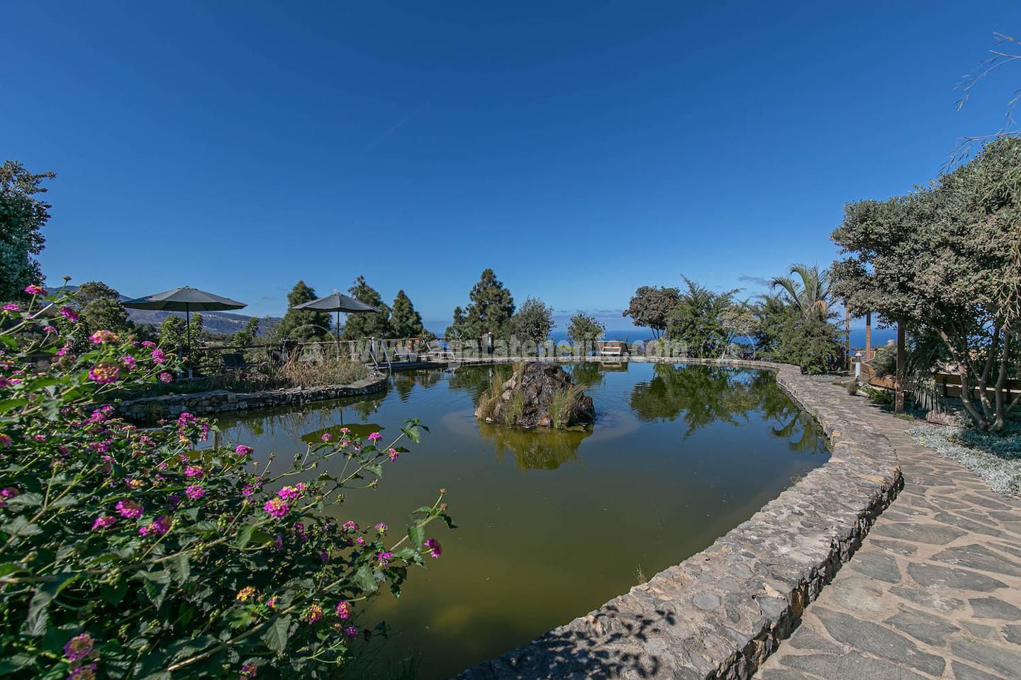 Jardí de Casa o xalet en venda en La Guancha amb Jardí privat, Terrassa i Piscina