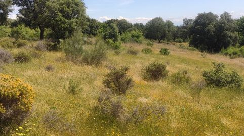 Finca Dehesa Extremeña 35000mt., immagine 4
