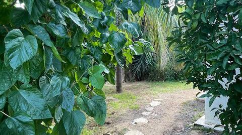 Foto 5 de Finca rústica en venta en Castellet i la Gornal, Barcelona