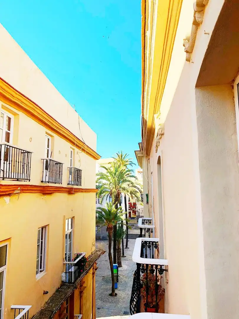Wohnung mit Terrasse zum Verkauf in Centro Histórico, imagen 22