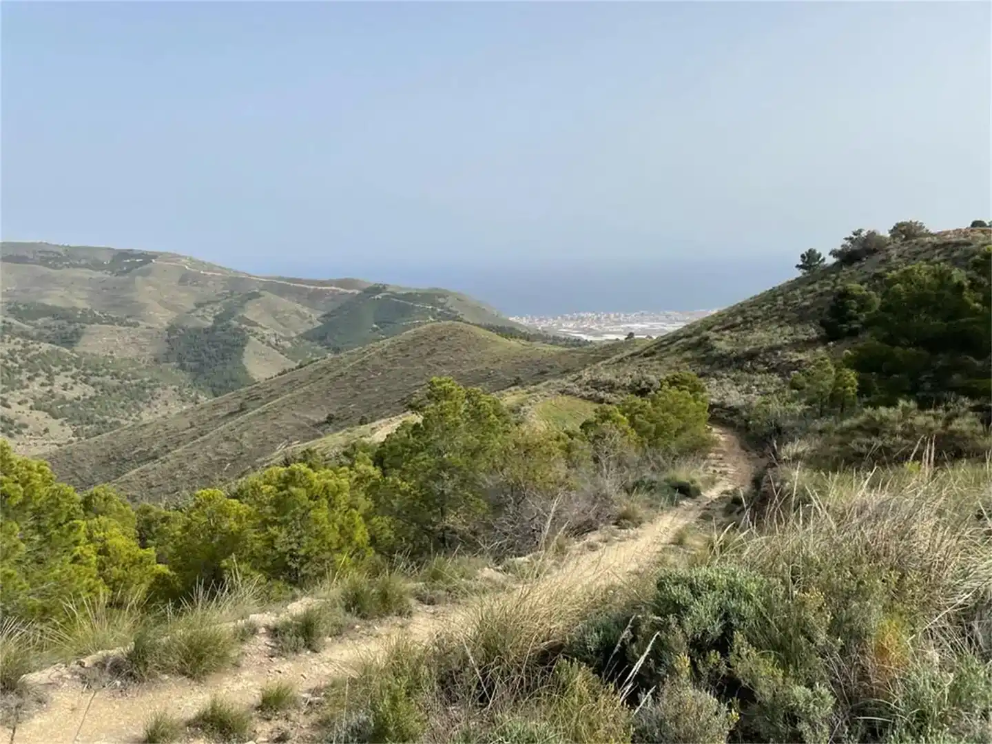 Exterior view of Land for sale in Enix