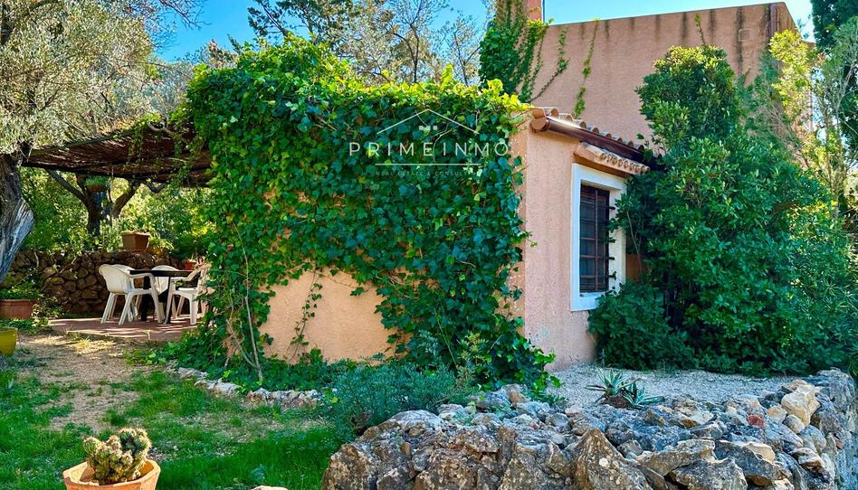 Foto 1 de Finca rústica en venda a El Perelló, Tarragona