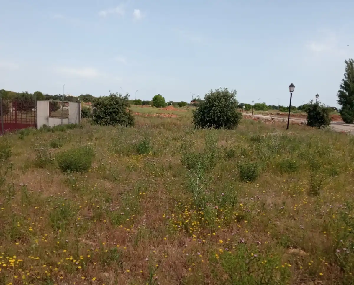 Terreny residencial en venda a NAVA BALBONO, imagen 9