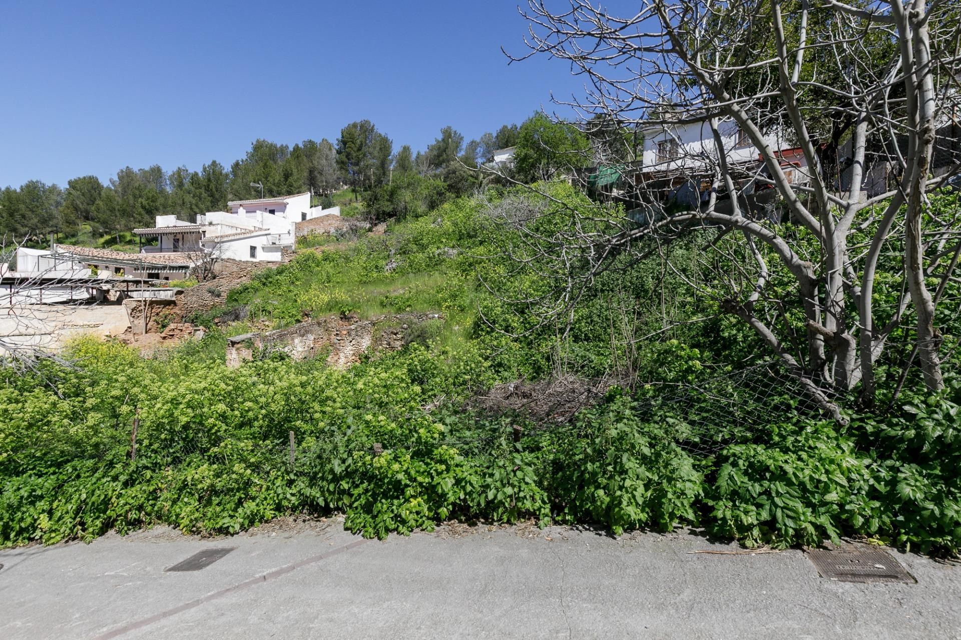Casa o xalet en venda en  Granada Capital