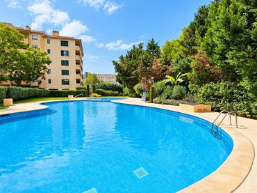 Ground floor with pool for sale in Ponent
