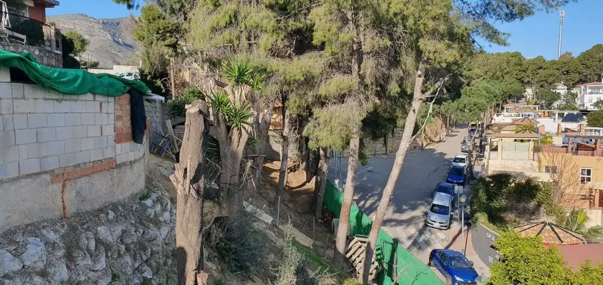Terrenys i solars en venda a El Pinar- Palacio de Congresos, imagen 5
