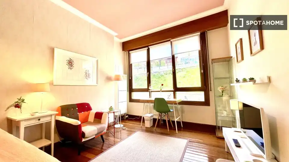 Habitació a Abandoibarra - Guggenheim