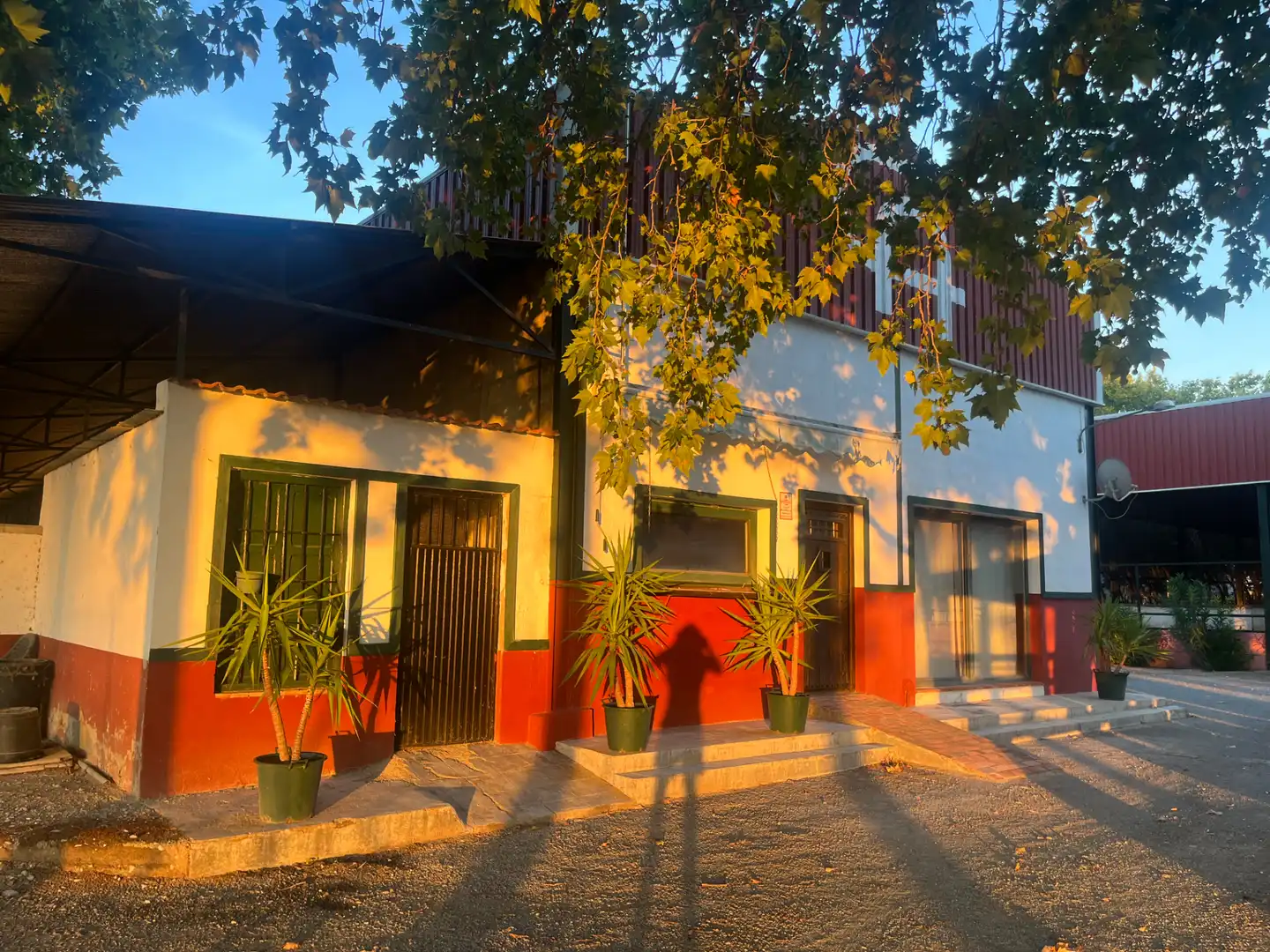 Industrial building for sale in Carretera de Córdoba, imagen 136