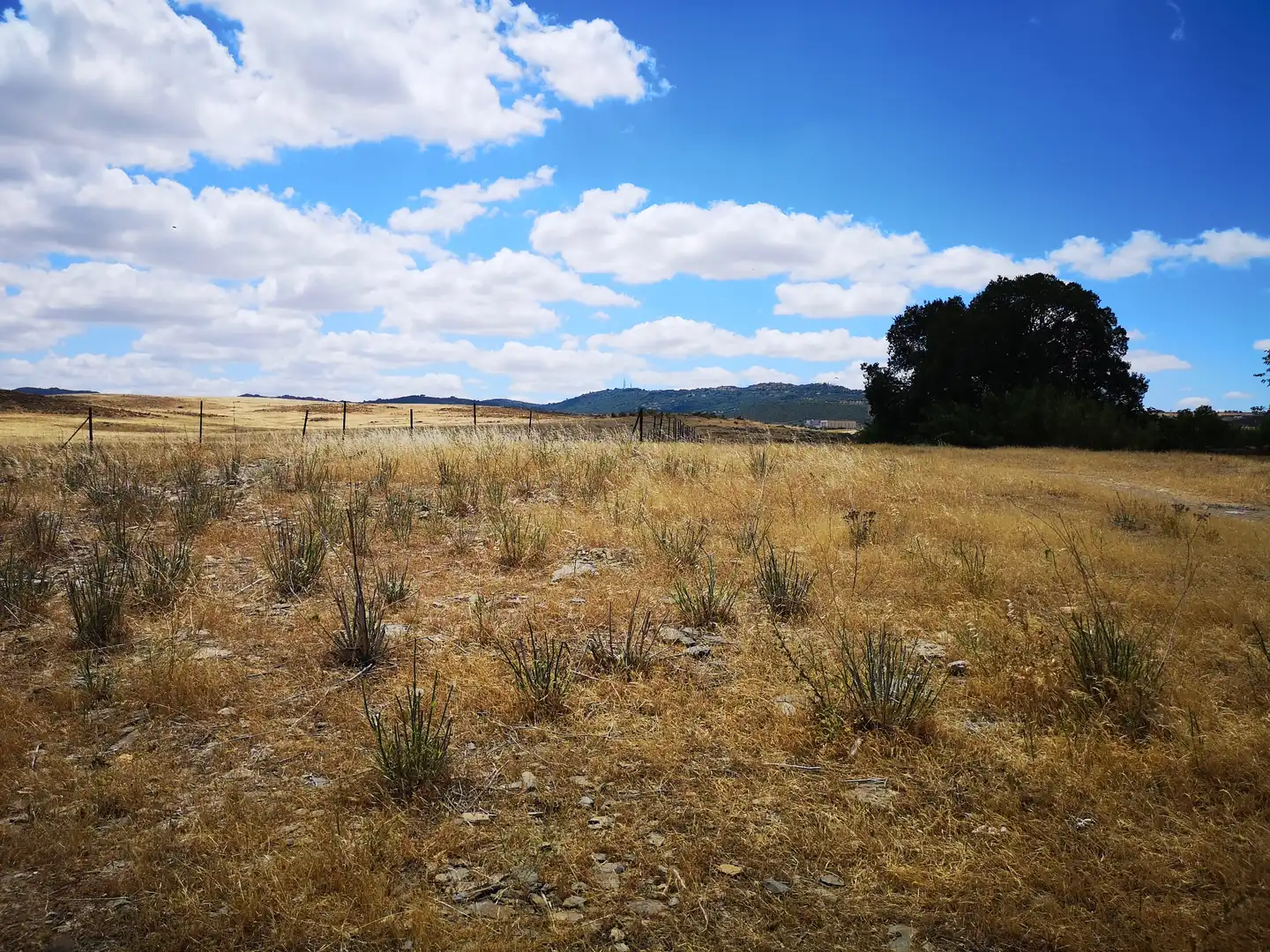 Wohnbaugrundstück zum Verkauf in PARAJE LA MORALEJA POLIGONO 13, PARCELA 105, imagen 5