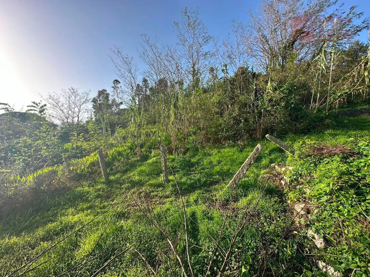 Terreno en venta en Rúa do Piñeiro, Darbo