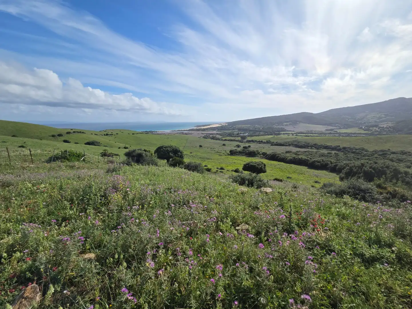 Vista exterior de Terreno en venta en Tarifa