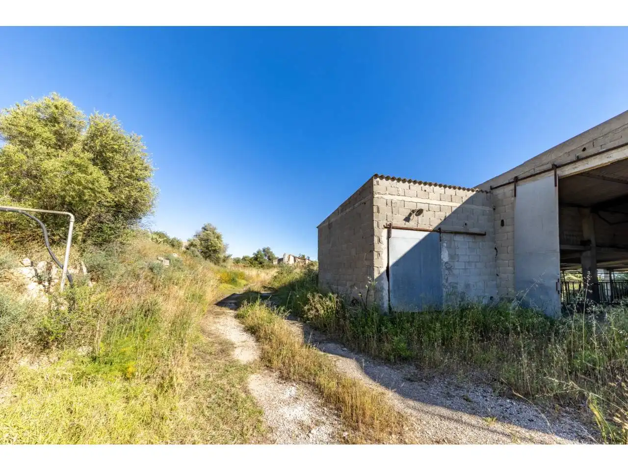 Terreno rustico in vendita a Llucmajor pueblo, imagen 69